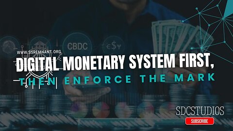 Digital Monetary System First, Then Enforce the Mark