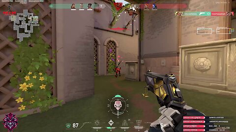 Thank you for your gun, Raze!