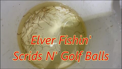 Elver Fishing- Still Goin' At It