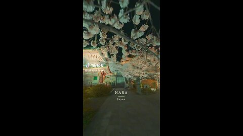 Japan beautiful nature