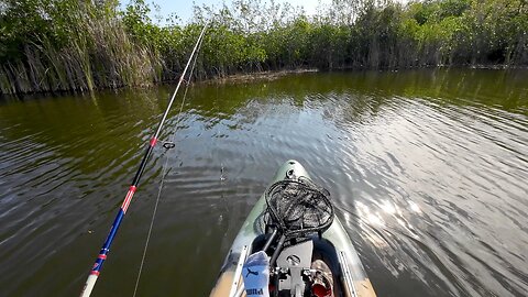 Kayak Snook Fishing The Everglades