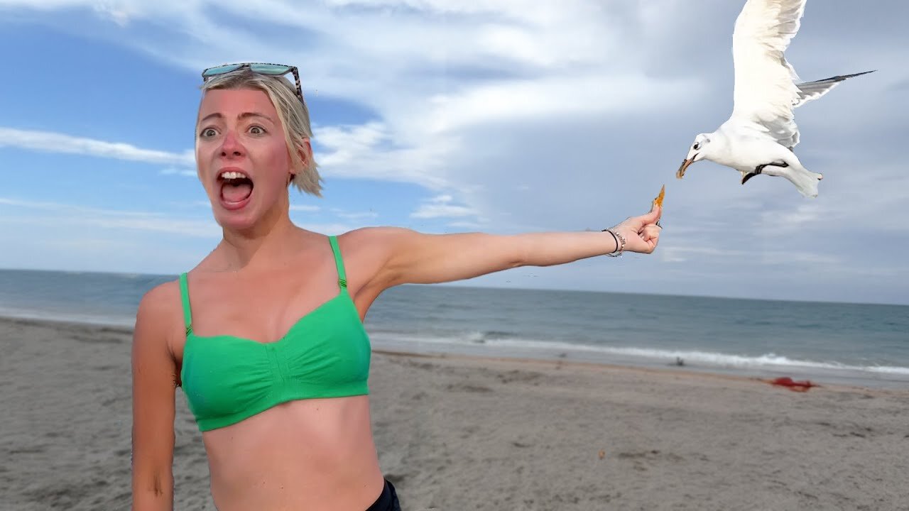 You Laugh, You Lose! 🤣 Best Funny Fails of the Week