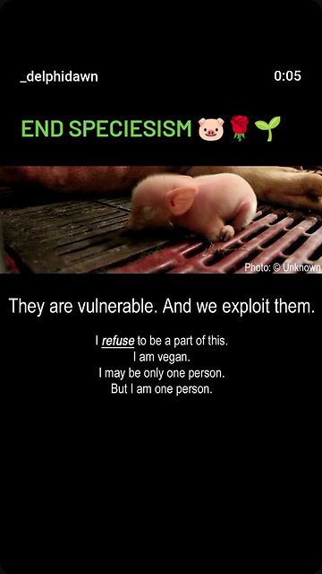 I REFUSE to Be A Part of THIS 💔