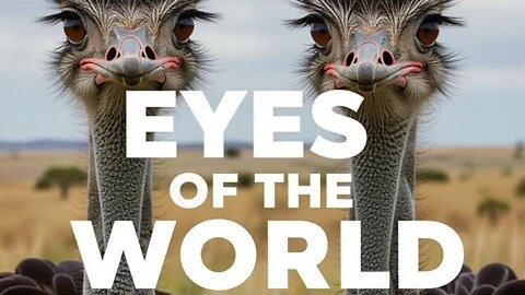 Canada Orders MASS CULL of 400 Ostriches Over Bird Flu Outbreak