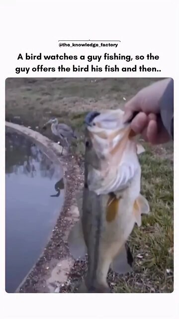 Animals are fully aware that we are 🐵