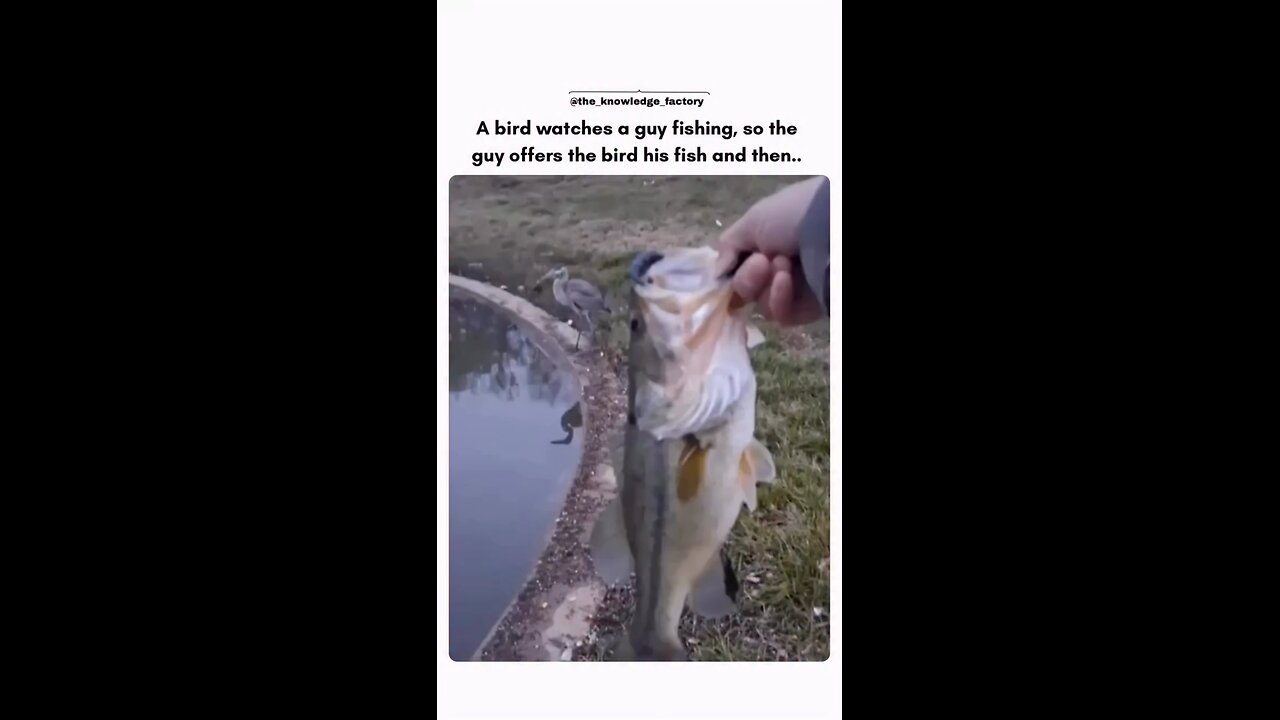 Animals are fully aware that we are 🐵