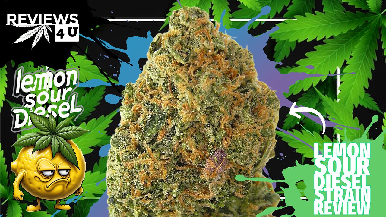 LEMON SOUR DIESEL 🍋⛽ | REVIEWS 4 U - ONE TWO TREEZ