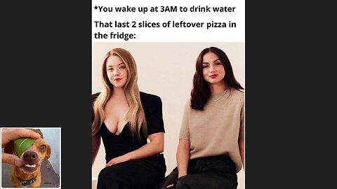 Memes That Will 99.0281% Make You Laugh. (e505)
