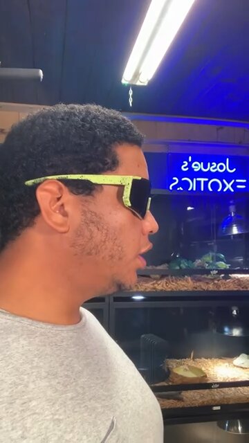 When Some Interrupts Me When I’m Talking About My Reptiles