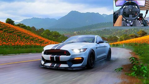 Shelby GT350R - Forza Horizon 5 | Thrustmaster TX gameplay