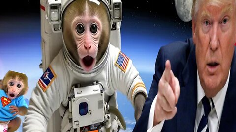 Bonmonkeykiki Trump TARGETS Antifa, UW For Allo Riots|| Trump& animalht vedioin rumbel US🧟‍♂️