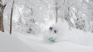 Release Of The Epstein Files - Record Snow Northeast - Storm Impacting the Southwest U.S. - YDIH