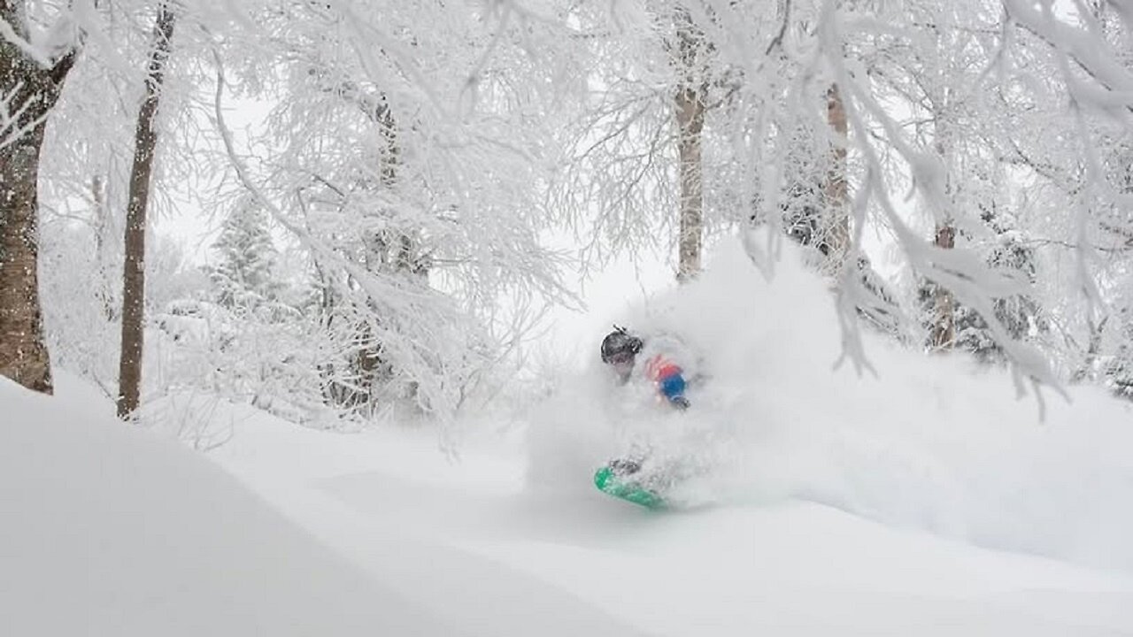 Release Of The Epstein Files - Record Snow Northeast - Storm Impacting the Southwest U.S. - YDIH