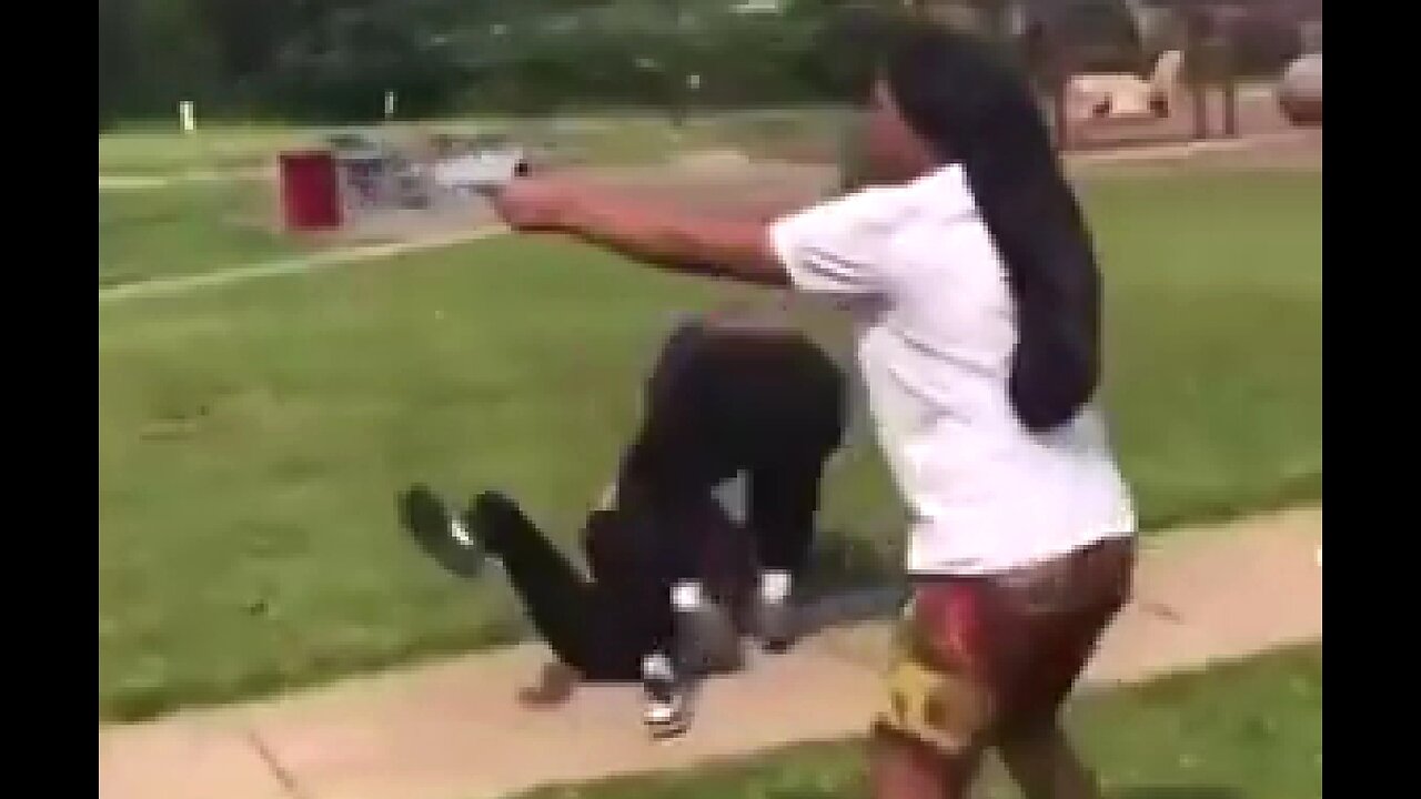 DON'T BRING A GUN TO A CAT FIGHT ☠️