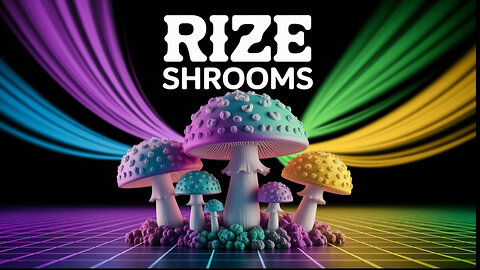 JK DISTRO | Rize Shrooms Review: My Incredible Journey & Vision Changes!