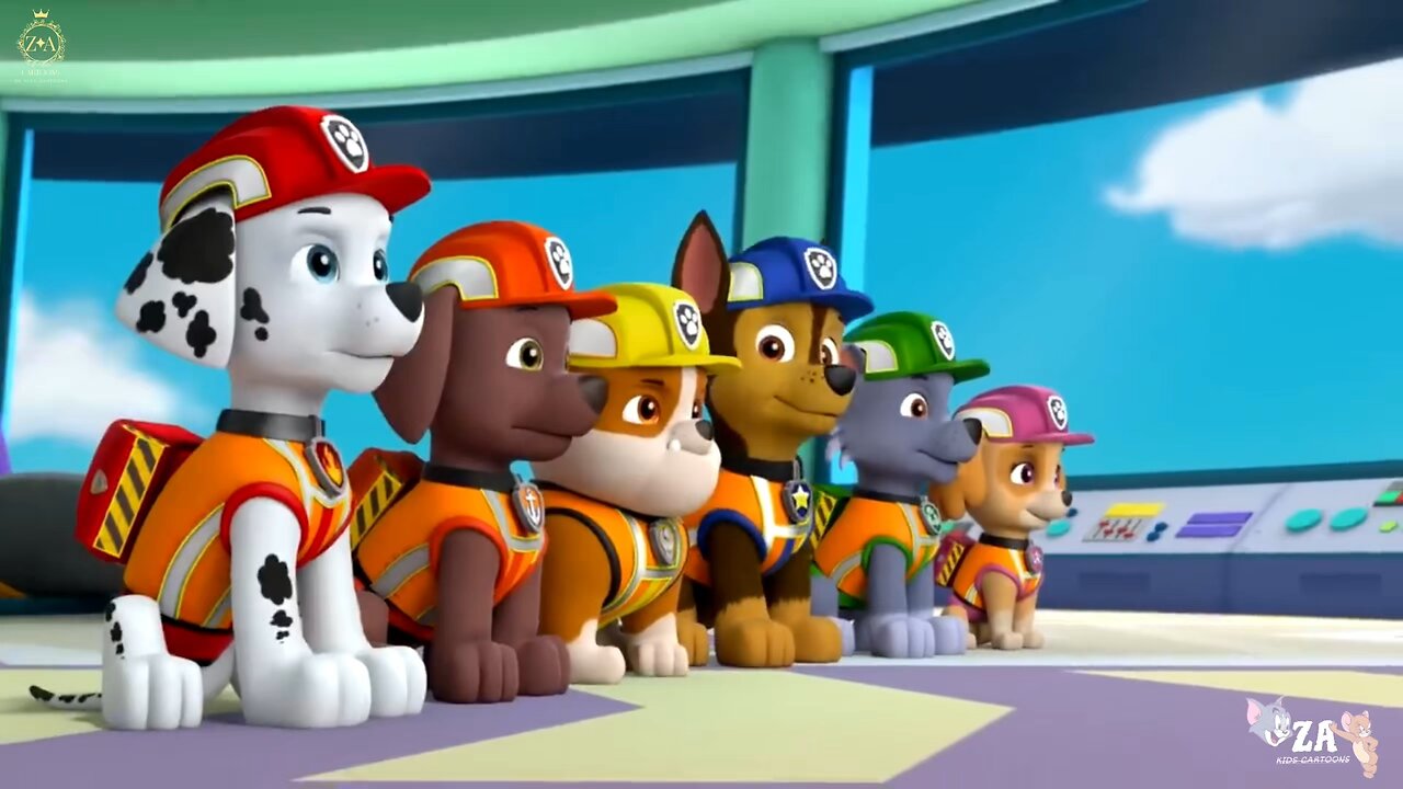 PAW Patrol Cartoons