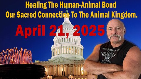 Healing The Human-Animal Bond: Our Sacred Connection To The Animal Kingdom - With Sherri Divband
