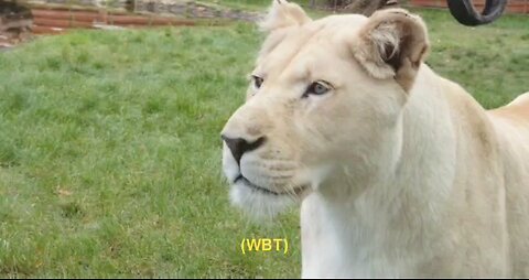 You peep the BS when you born to stay away from BS/ problematic