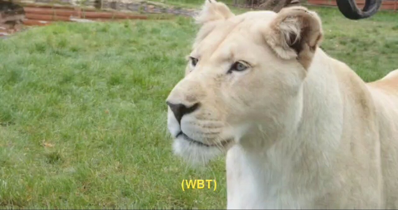 You peep the BS when you born to stay away from BS/ problematic