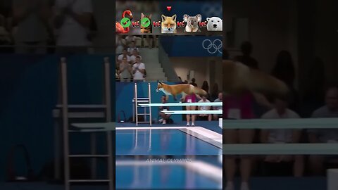 Flamingo vs Cat vs Fox vs Koala vs Bear - Diving Challenge
