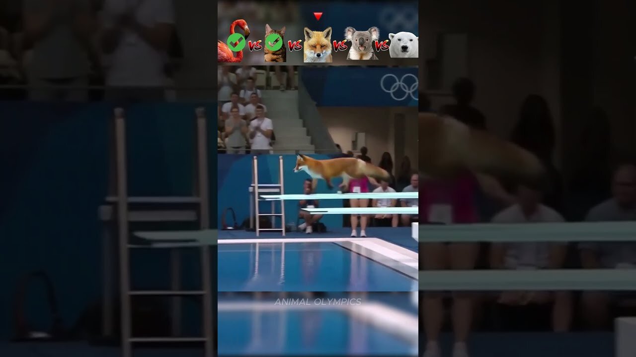 Flamingo vs Cat vs Fox vs Koala vs Bear - Diving Challenge
