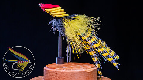 Tying the Armadillazilla - Dressed Irons