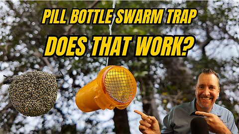 Pill Bottle Swarm Trap: Does This Actually Work? 🐝