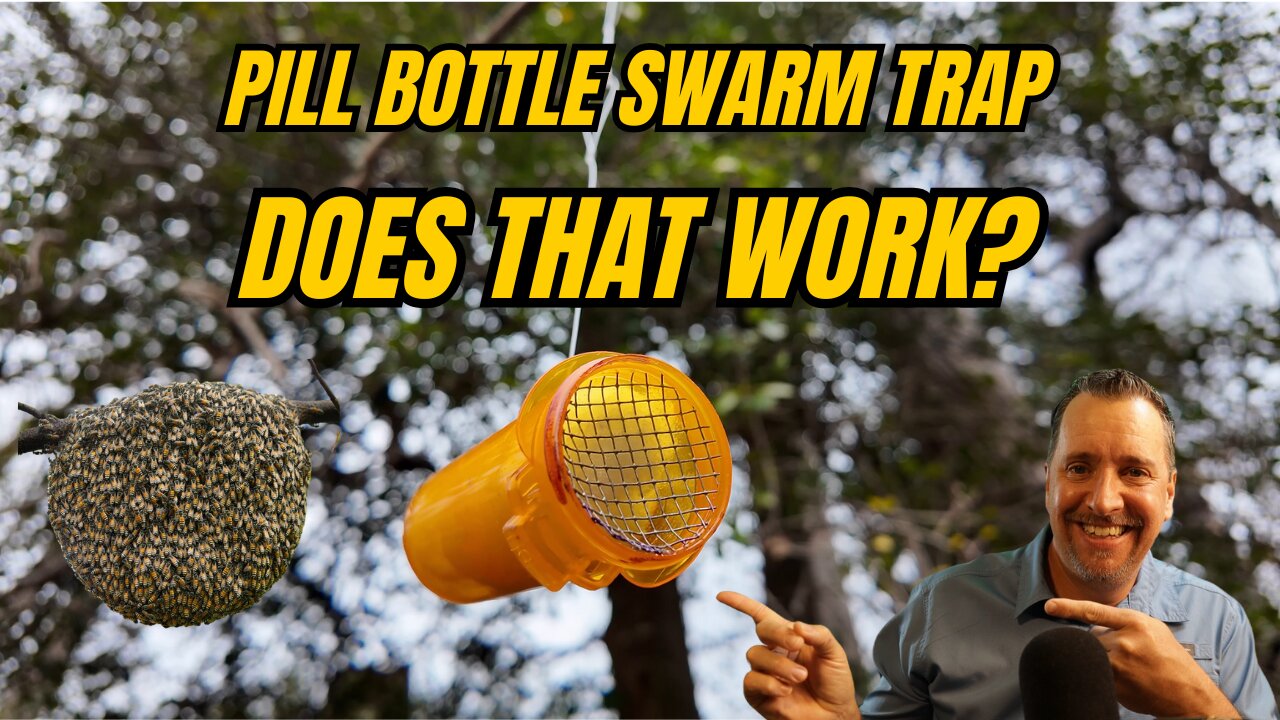 Pill Bottle Swarm Trap: Does This Actually Work? 🐝