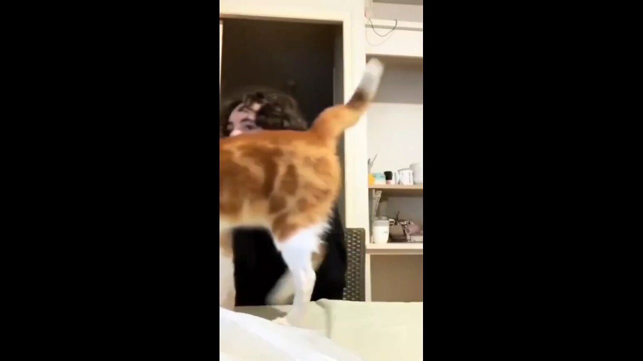 😆😆😆