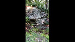 NATURE READY MADE SHELTER