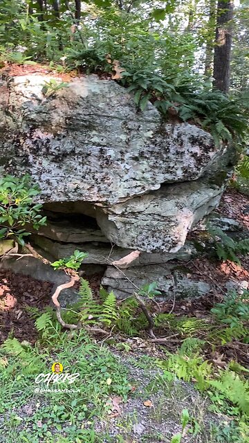 NATURE READY MADE SHELTER