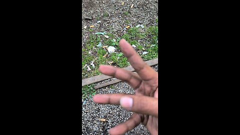 phone camera, new button layout.