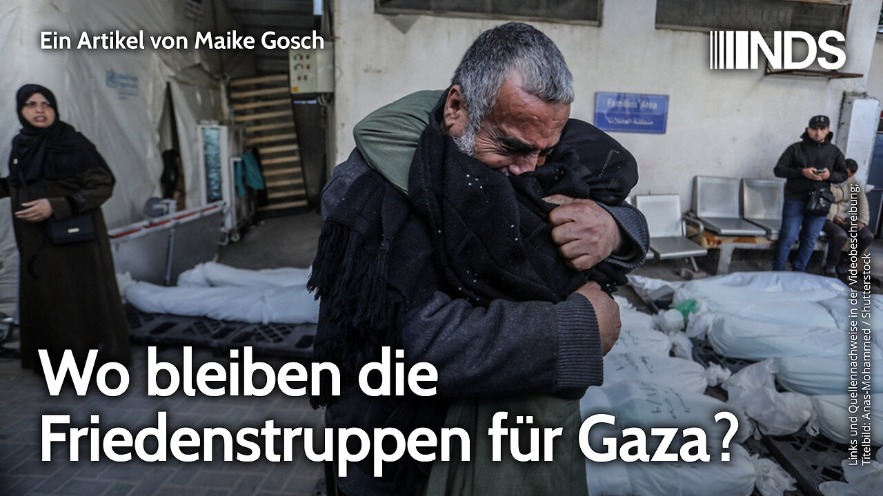 Wo bleiben die Friedenstruppen für Gaza? | Maike Gosch | NDS-Podcast
