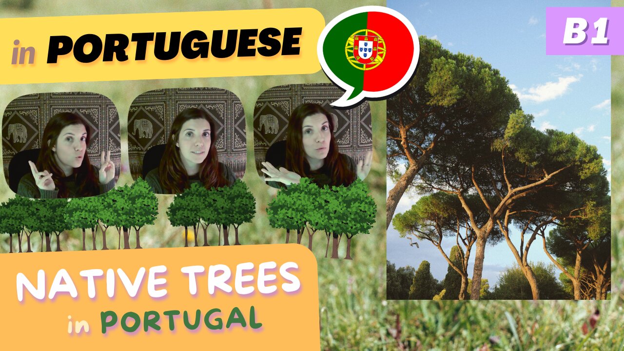 Native Trees in the Portuguese Countryside | B1 European Portuguese with comprehensible input