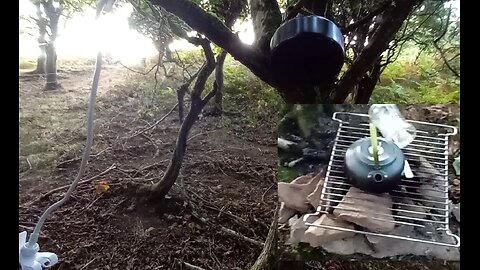 08, keeping kit safe from animals, hanging , tree ,