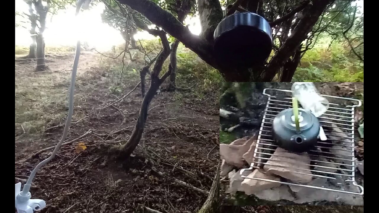 08, keeping kit safe from animals, hanging , tree ,