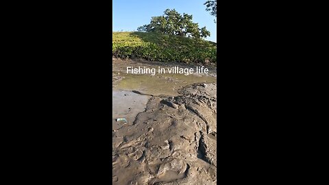 fishing is village life