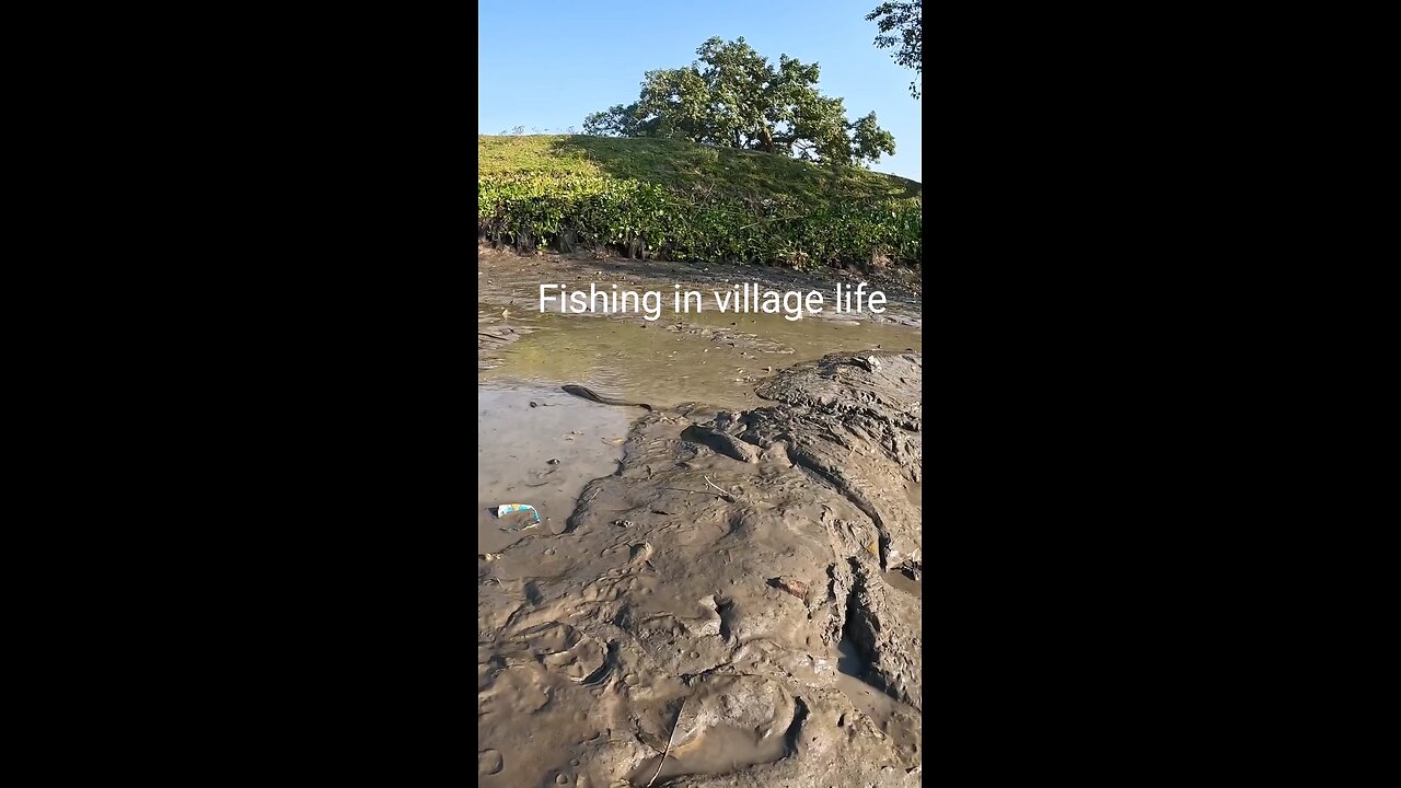 fishing is village life