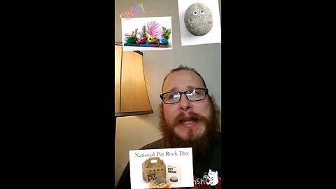 Sunday! Pet rocks and salami.