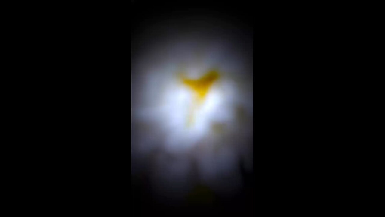 jai maa kaali..