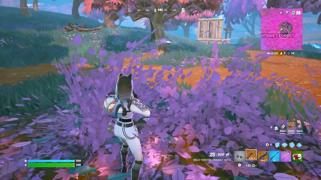 Fortnite *Victory Royale*