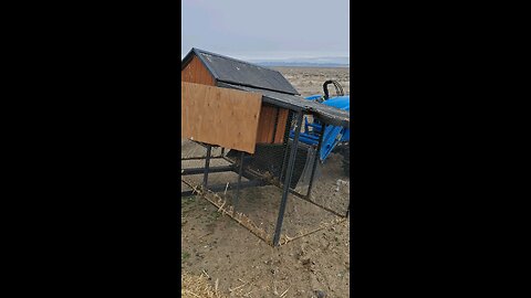 moving the old hen house