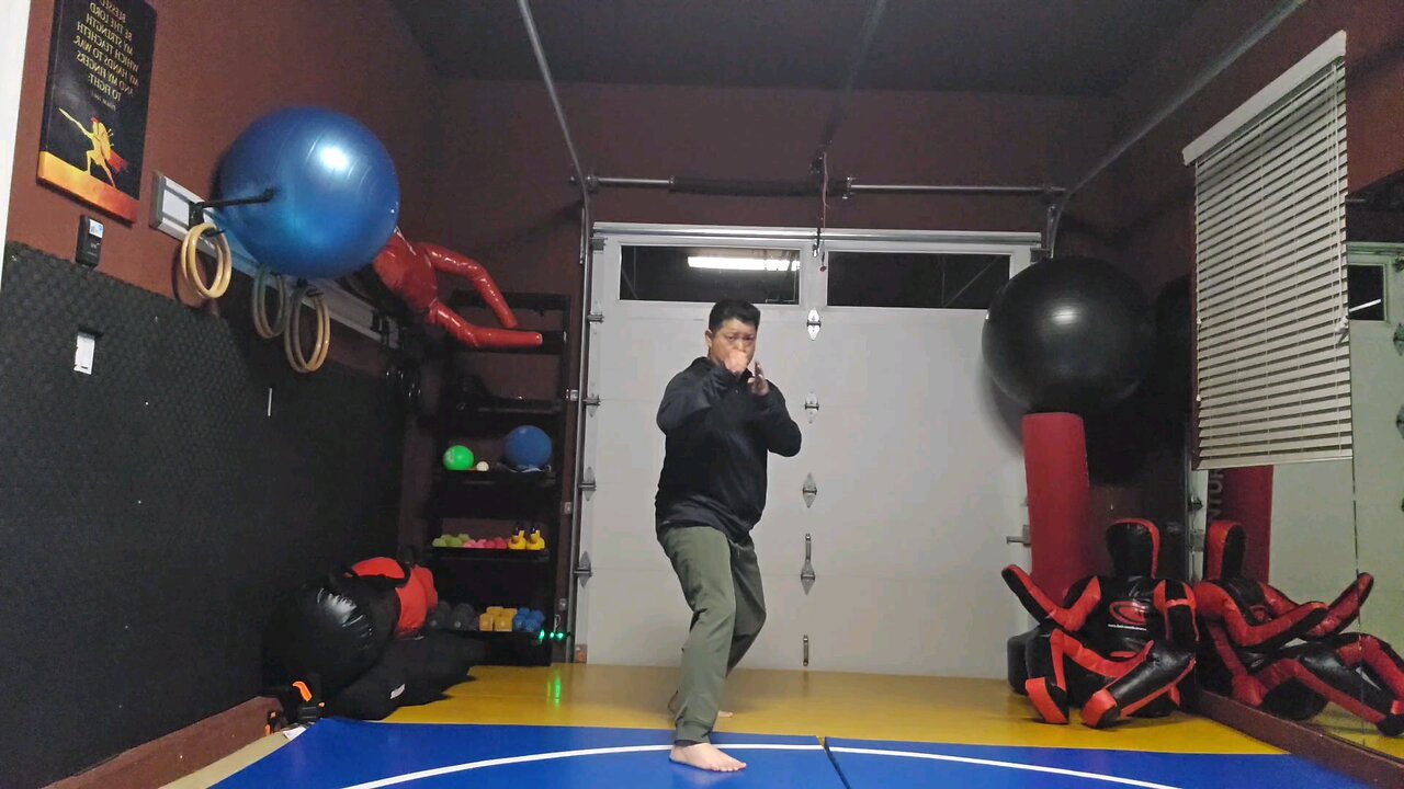 WTD 2 Step Kick Combination 86