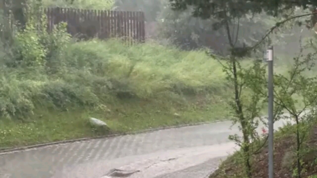 Relaxing rain sound with view