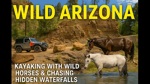 Wild Arizona Unknown places and adventure.