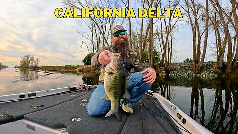 A Swimbait Bite Kinda Day - California Deltq