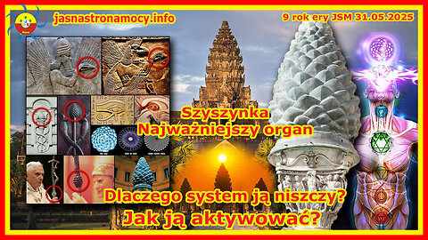 Szyszynka Najważniejszy organ Dlaczego system ją niszczy Jak ją aktywować