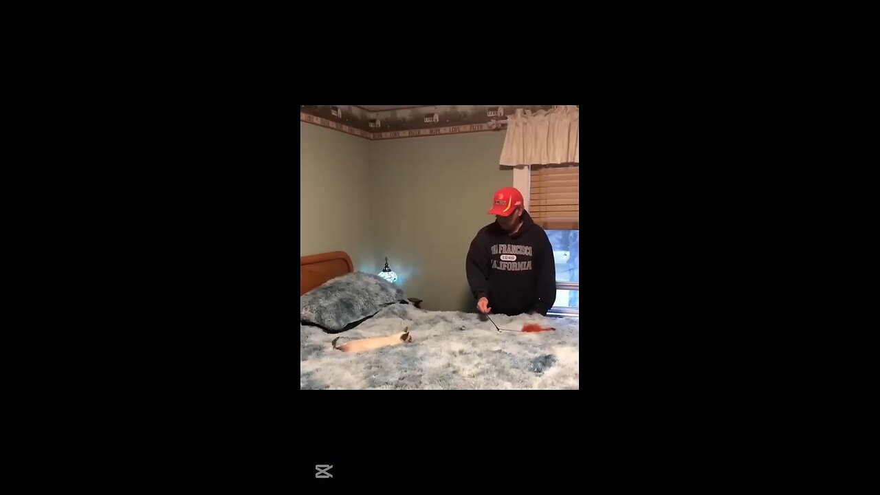 When Cats Forget They’re Cats