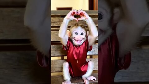 Cutest grin award goes to this adorable baby monkey! 🐒🏆