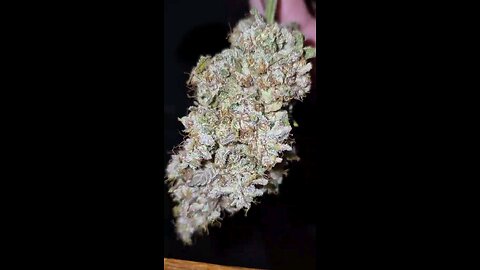 skywalker
